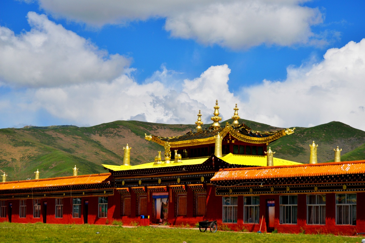 Lion Dragon Palace